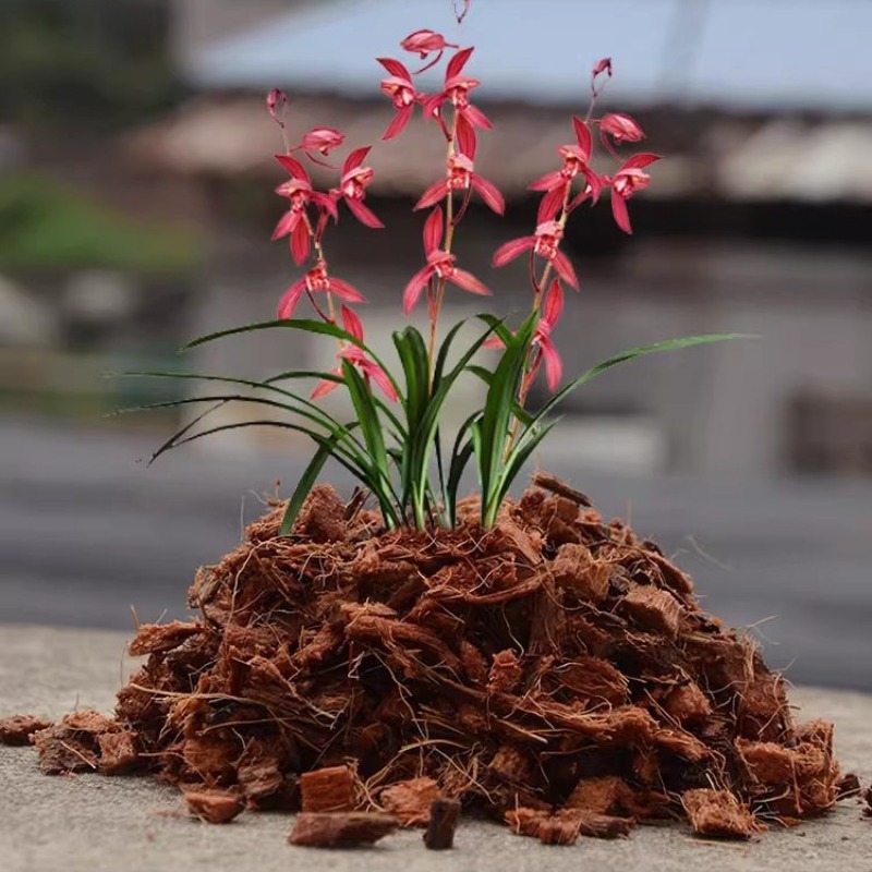 Coconut Coir Brick with Organi - огляд і ціна Sphagnum Moss Dry