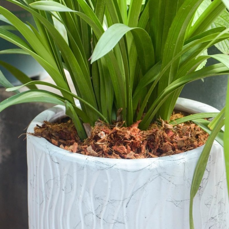 Coconut Coir Brick with Organi - огляд і ціна Sphagnum Moss Dry