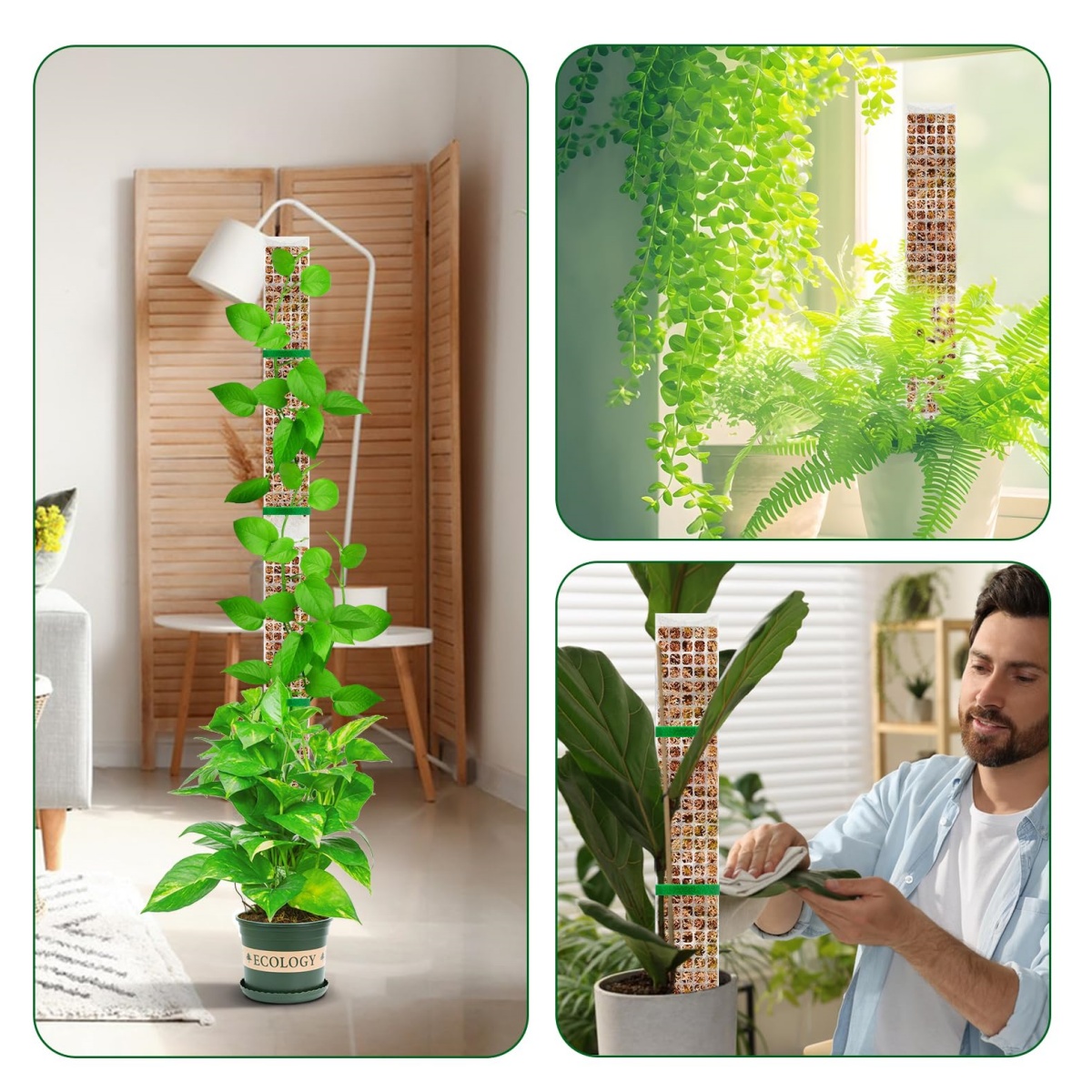 Stackable Plastic Moss Pole fo - огляд і ціна Sphagnum Moss Dry