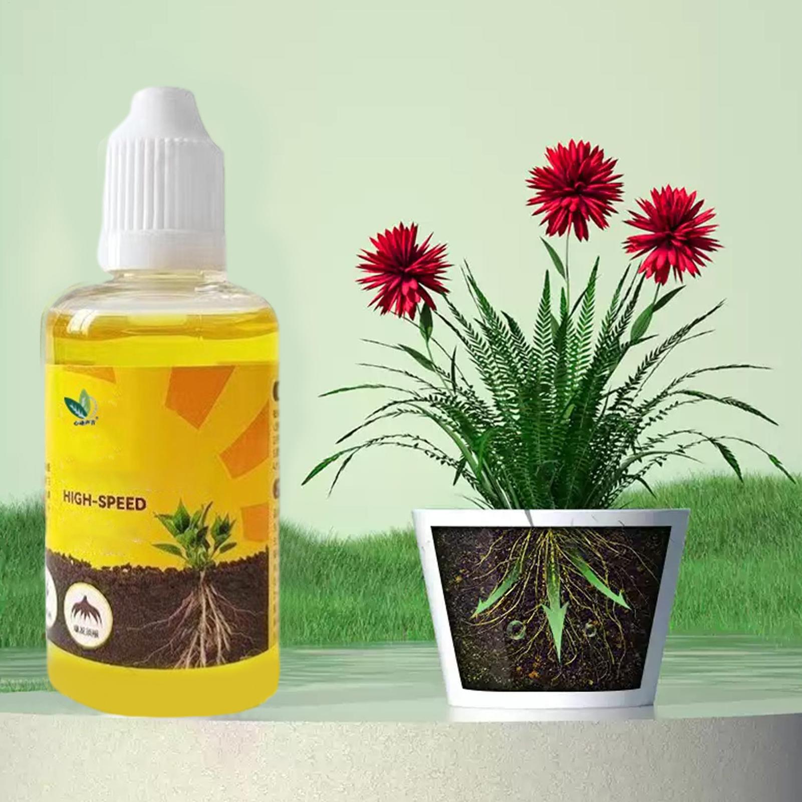 Plant Rooting Stimulator Liqui - огляд і ціна Root Stimulator Liquid