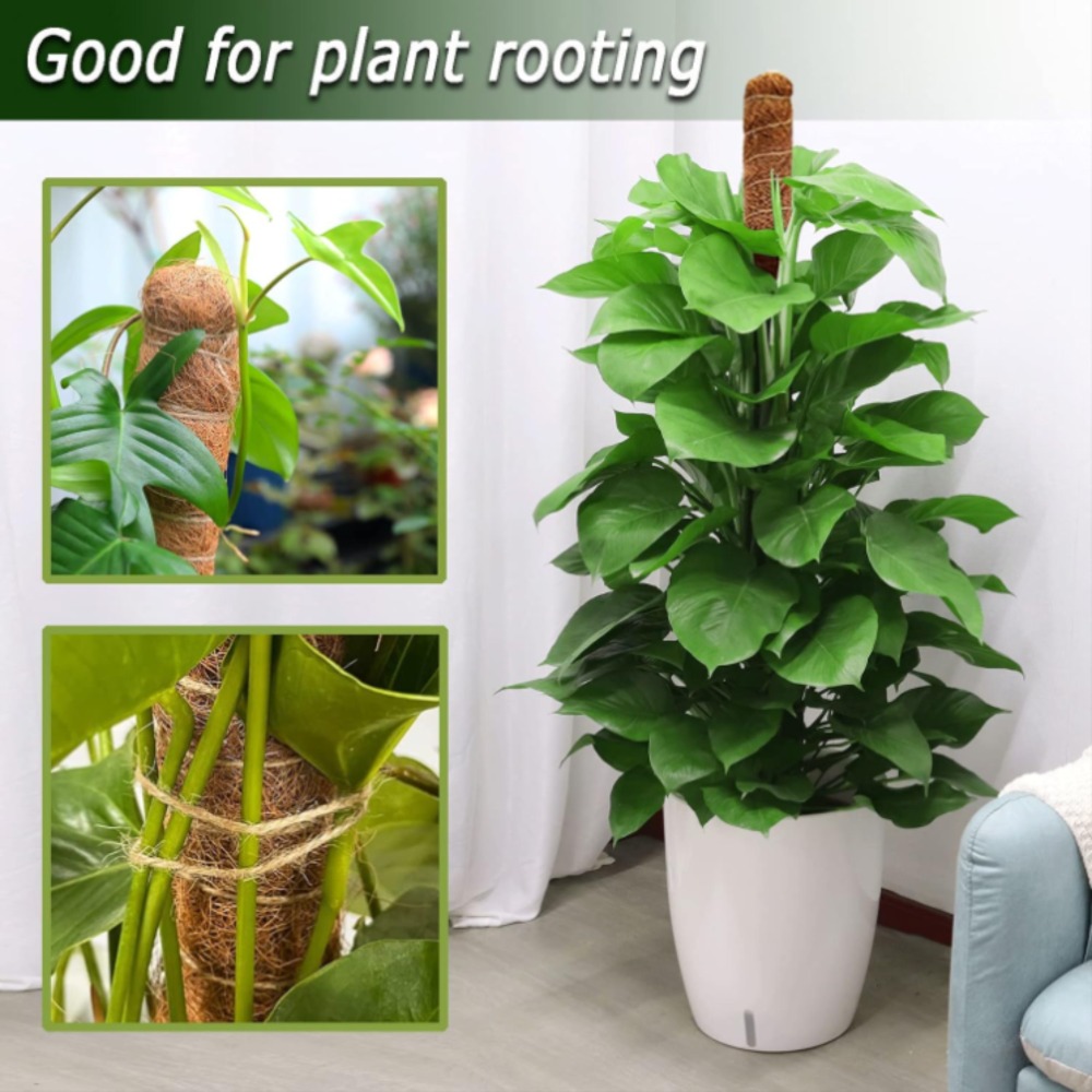 30-100cm Bendable Plants Climb - огляд і ціна Sphagnum Moss Dry